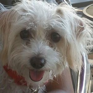 Meet your Posher, Sonjia